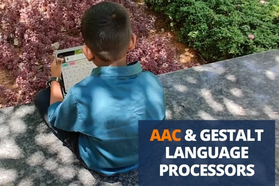 gestalt language processor using aac